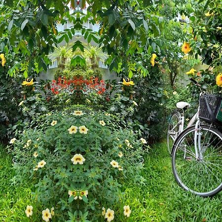 Star Garden Hoi An Διαμέρισμα Εξωτερικό φωτογραφία