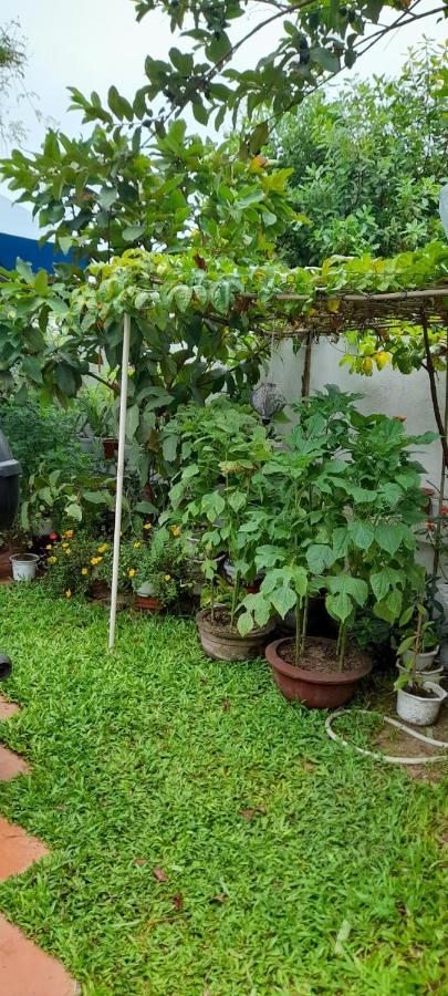 Star Garden Hoi An Διαμέρισμα Εξωτερικό φωτογραφία