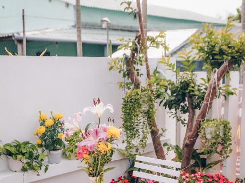 Star Garden Hoi An Διαμέρισμα Εξωτερικό φωτογραφία