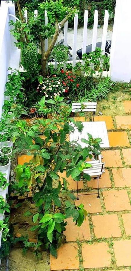 Star Garden Hoi An Διαμέρισμα Εξωτερικό φωτογραφία